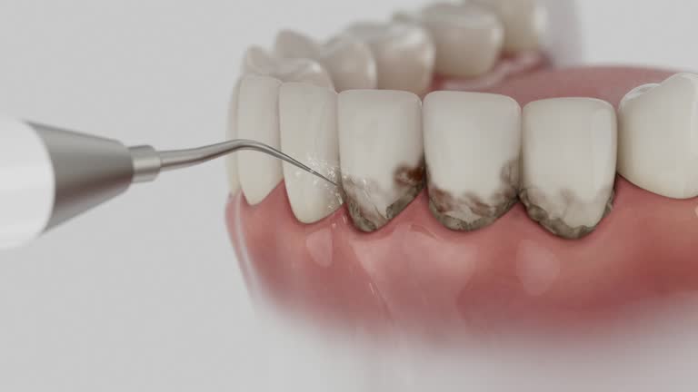 Reliable Dental contractor in Dade City North, FL by Dentist Open Now
